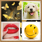 4 Pics 1 Word "Epiphany" icon