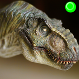 Dinosaurs Game For Kids-APK