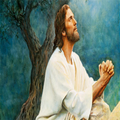 Imagenes de Jesus
