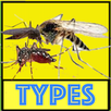 Mosquito Type and Diseases APK