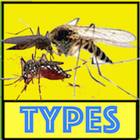 Mosquito Type and Diseases أيقونة