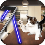 Laser Pointer Animal Finder Prank