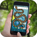 Snake on Screen Funny Joke APK