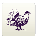 Kongenshus-Guiden APK