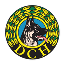 DcH Rally Lydighed APK