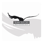 Team Succes icône