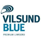 Vilsund Blue 아이콘