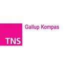 TNS Gallup Kompas icône