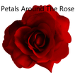 Petals Around The Rose