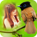 Bird Photo Frames APK