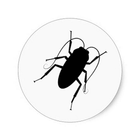 The Cockroaches icono