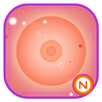 CANCER APK