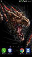 Dragon Wallpapers HD Affiche