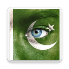 Pakistan Day Photo Editor Frames & Effects icône