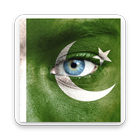 Icona Pakistan Day Photo Editor Frames & Effects