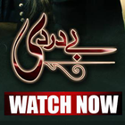Baydardi Drama Episodes ícone