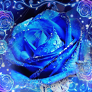 Blue Diamond Lover APK