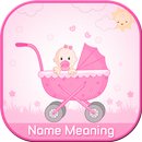 Baby Names with Meanings APK
