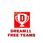 Dream11 fantasy cricket guru ícone