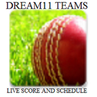 Dream 11 Team & Live Score icon