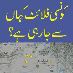 Скачать Free Flight Tracker for Pakistan APK