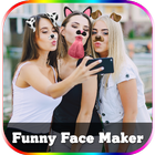 Crazy Face Changer Photo Maker icône