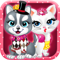 Cute Kitten Dress Up