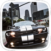 Driving Car Theme