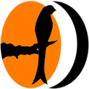 Drongo - Namoro & Amizade APK