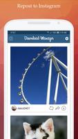 IDM Download Manager for Instagram screenshot 1