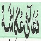 Dua Akasha + Urdu (Offline) icon