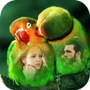 Birds Dual Photo Frames APK