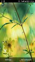 rainy water drops wallpaper ポスター