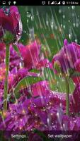 rainy water drops wallpaper ภาพหน้าจอ 2