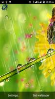 rainy water drops wallpaper ภาพหน้าจอ 3