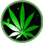 Weed Rasta Smoke Wallpapers & -icoon