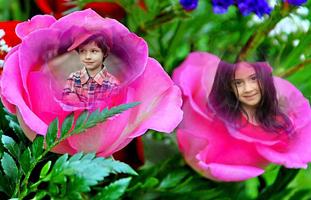 Rose Flower Dual Photo Frames syot layar 3
