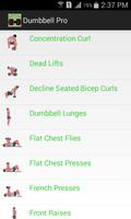 Dumbbell Workout Exercises Affiche