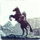 Dungeon Assassin Horse Run 3D APK