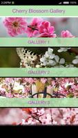 Cherry Blossom Gallery स्क्रीनशॉट 1