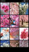 Cherry Blossom Gallery скриншот 2
