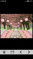 Cherry Blossom Gallery स्क्रीनशॉट 3