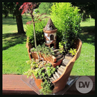 Fairy Garden Ideas ícone