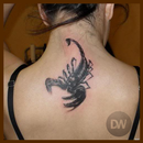 Scorpion Tattoo Ideas-APK