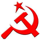 DYFI News icono