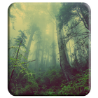 Beautiful Forest Theme icon