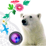 Fun camera app *d.Photo