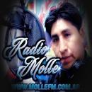 Radio Molle 101.7 APK