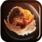 Embryo Dragon Live Wallpaper icône