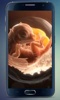 Embryo Dragon Live Wallpaper Affiche